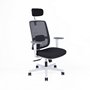 Office Pro / Chairs / Canto white sp - (650x620x1264)