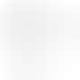 Traffic_White_9016_RAL_9016